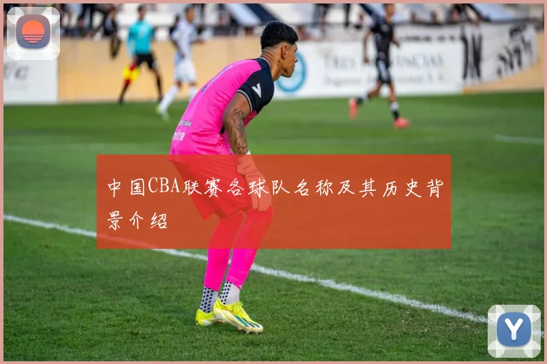 中国CBA联赛各球队名称及其历史背景介绍